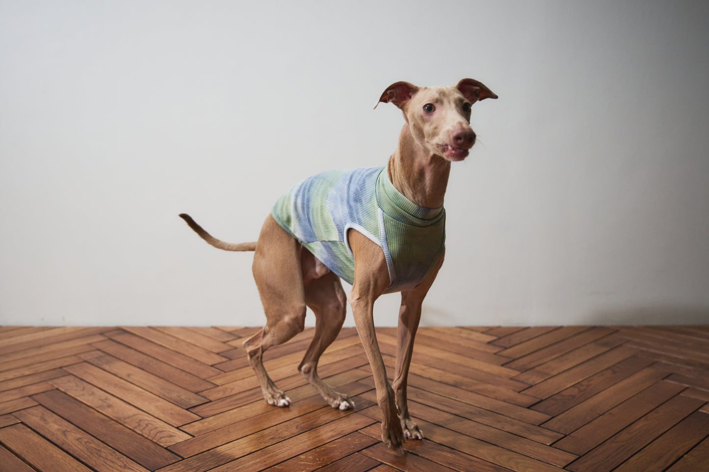 Tie Dye High-neck Vest - Green