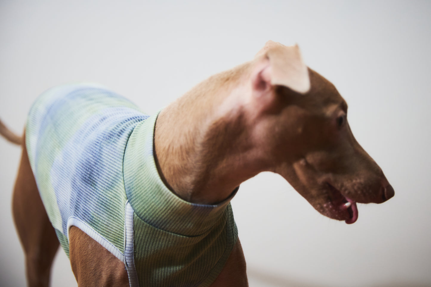 Tie Dye High-neck Vest - Green