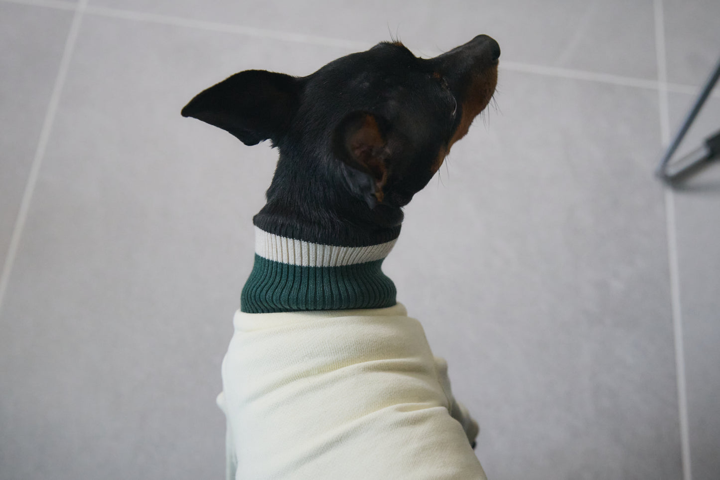 Ribbed Border Sweater -Ivory
