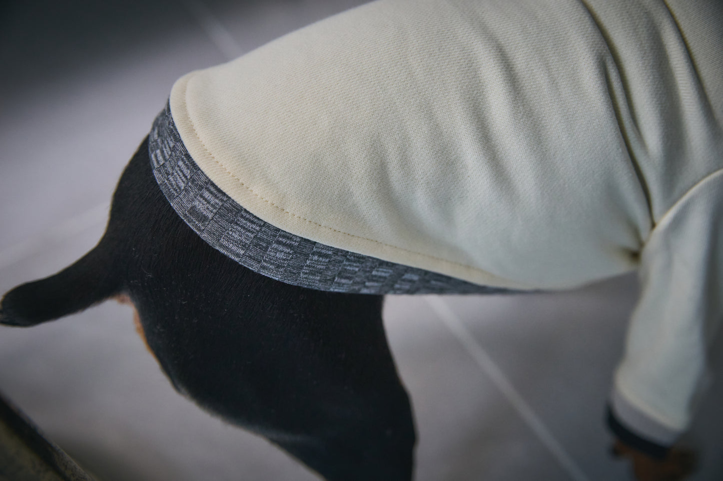 Ribbed Border Sweater -Ivory