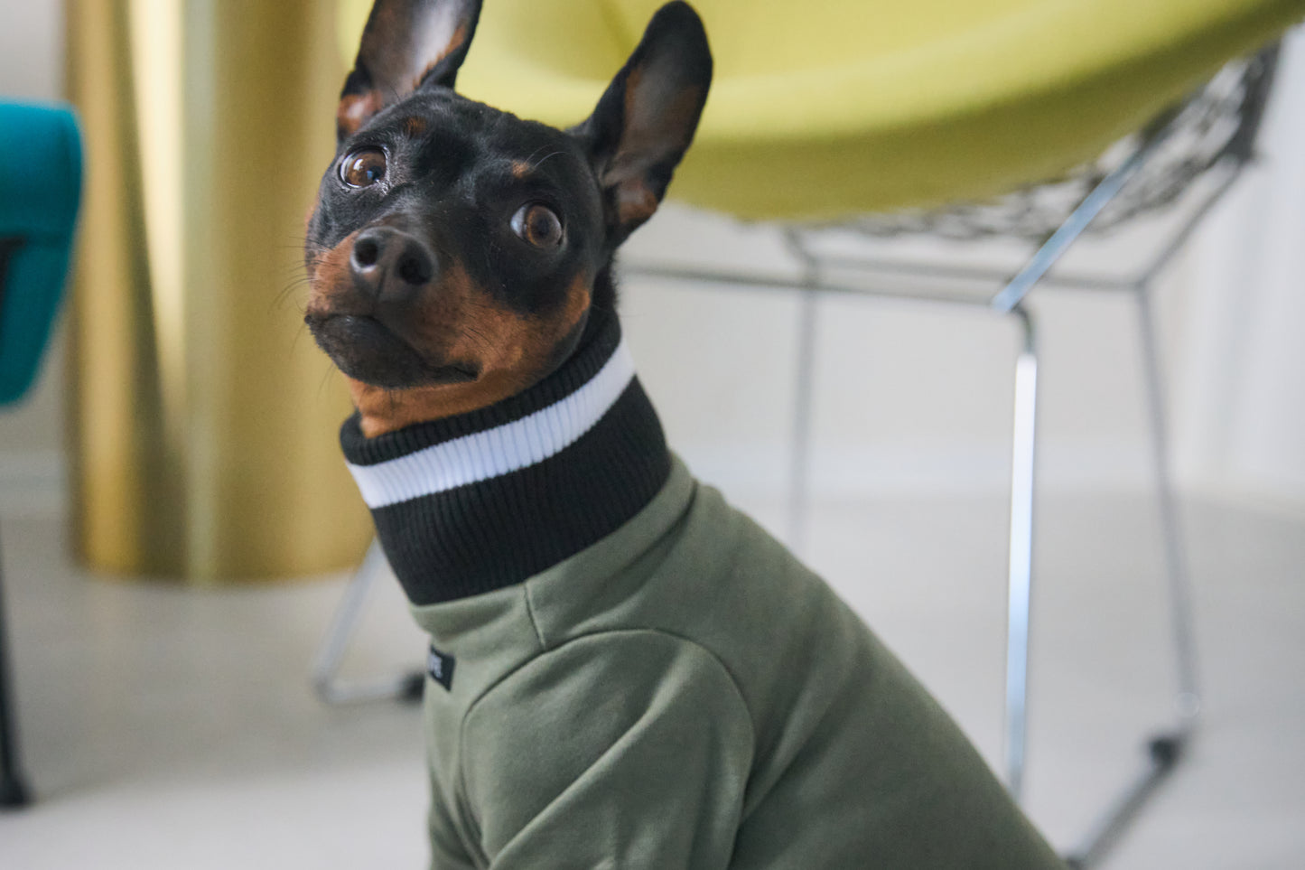 Ribbed Border Sweater -Olive