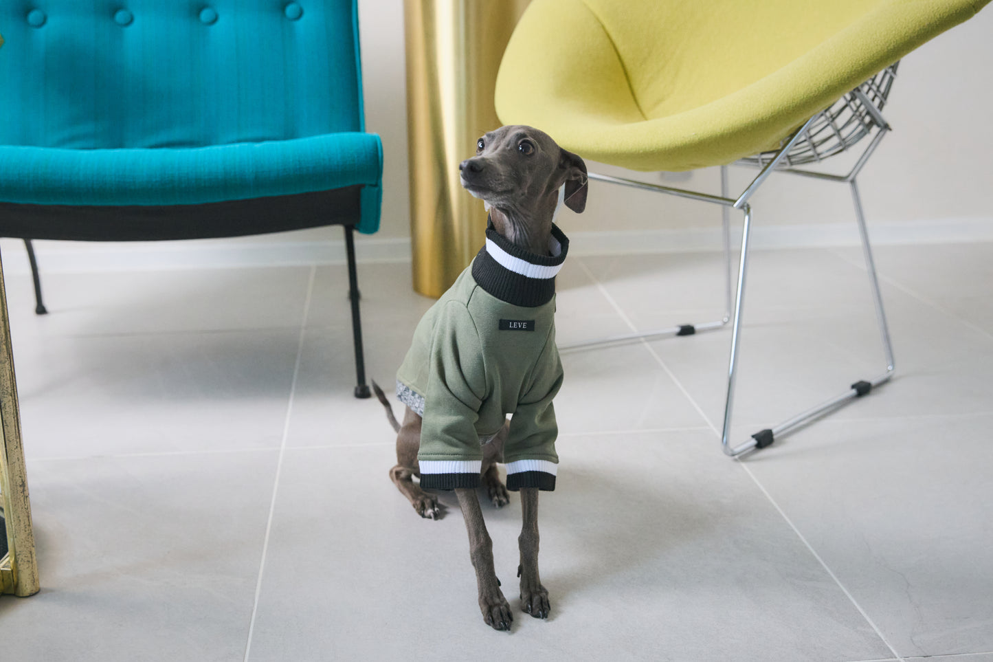 Ribbed Border Sweater -Olive