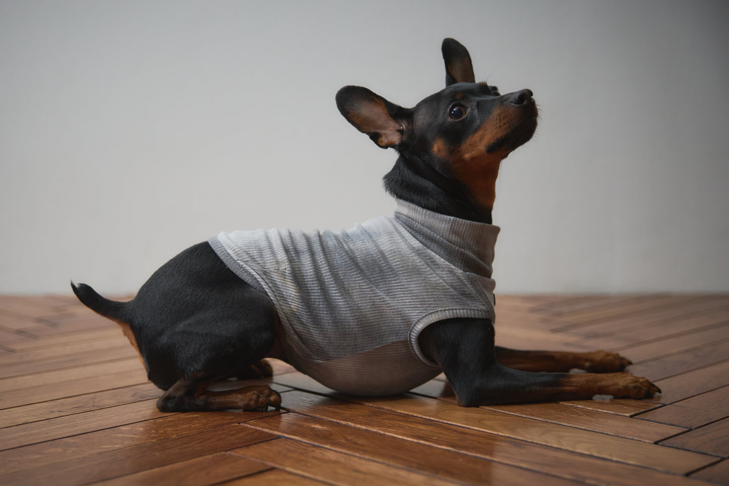 Tie Dye High-neck Vest - Grey