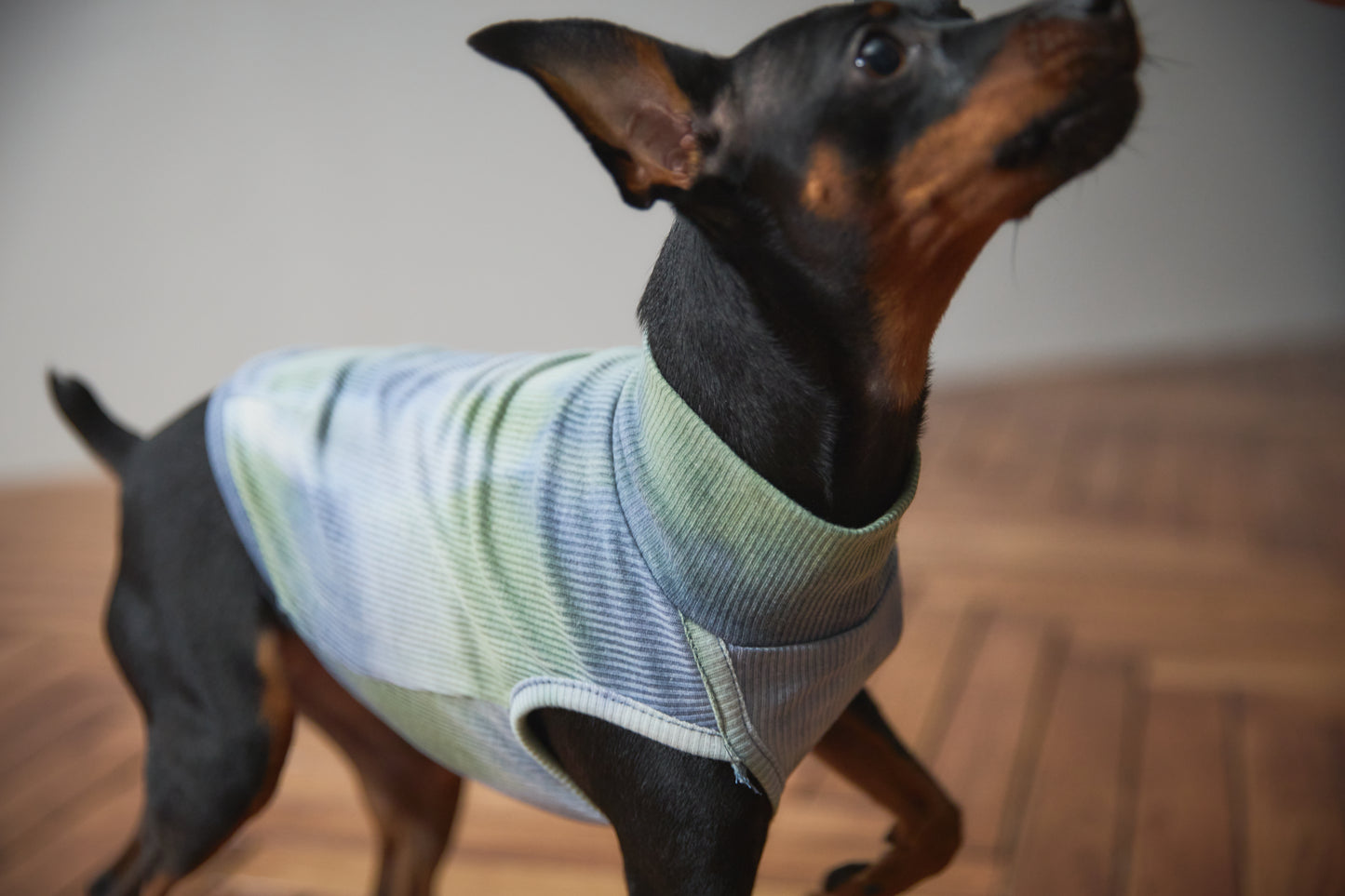 Tie Dye High-neck Vest - Green