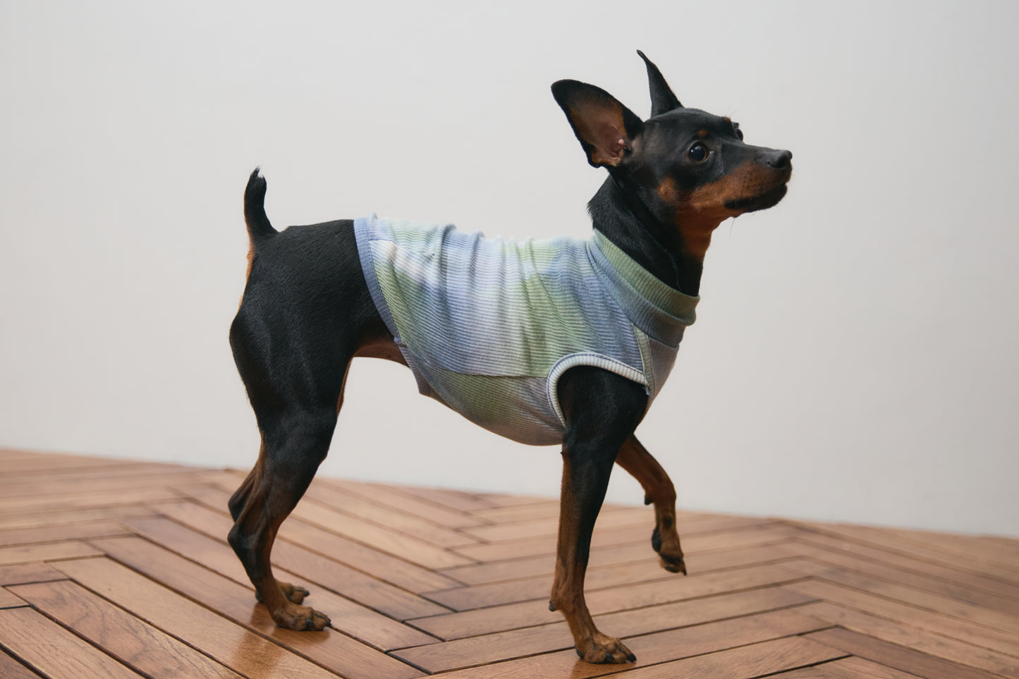 Tie Dye High-neck Vest - Green