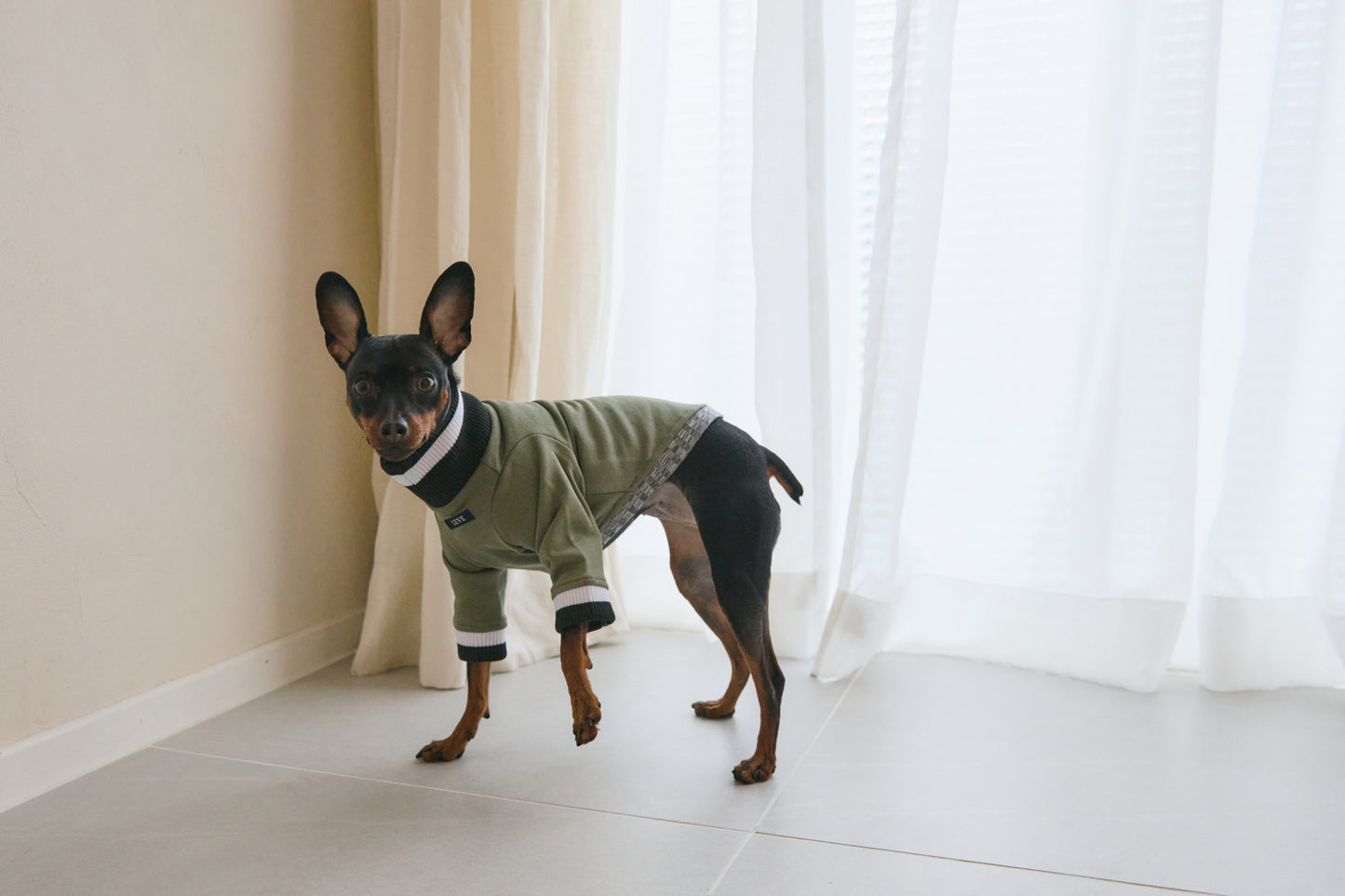Ribbed Border Sweater -Olive