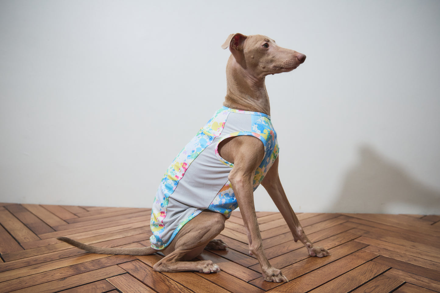 Summer Coooing Sleeveless - White