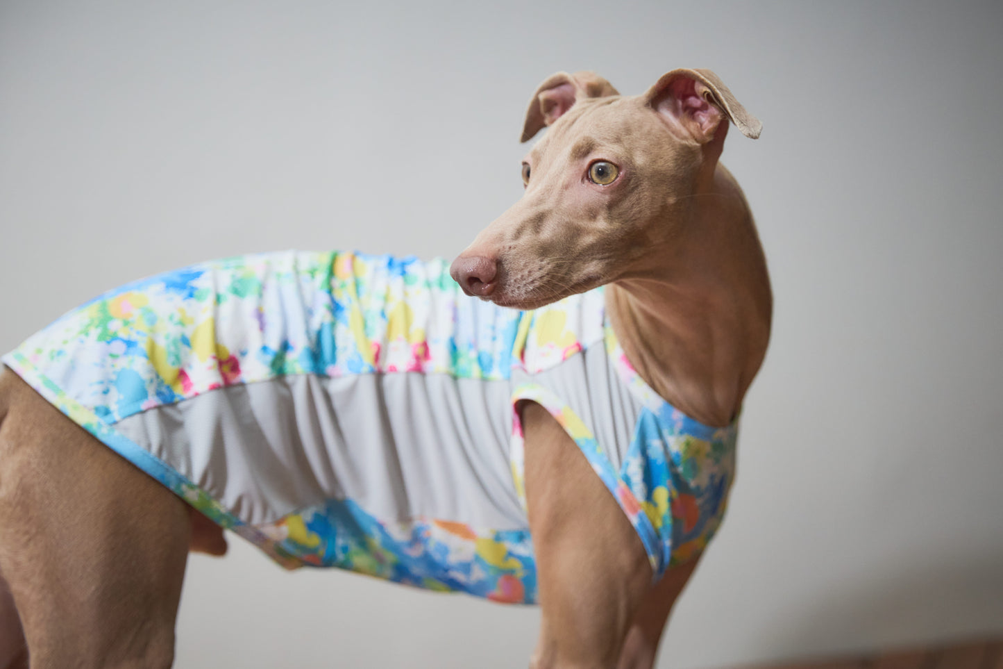 Summer Coooing Sleeveless - White
