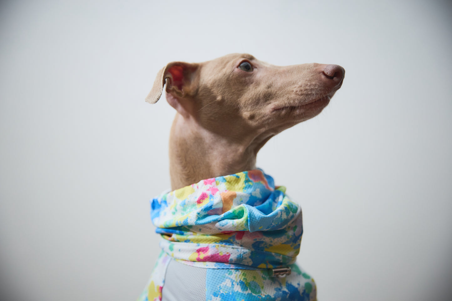 Summer Coooing Snood - White