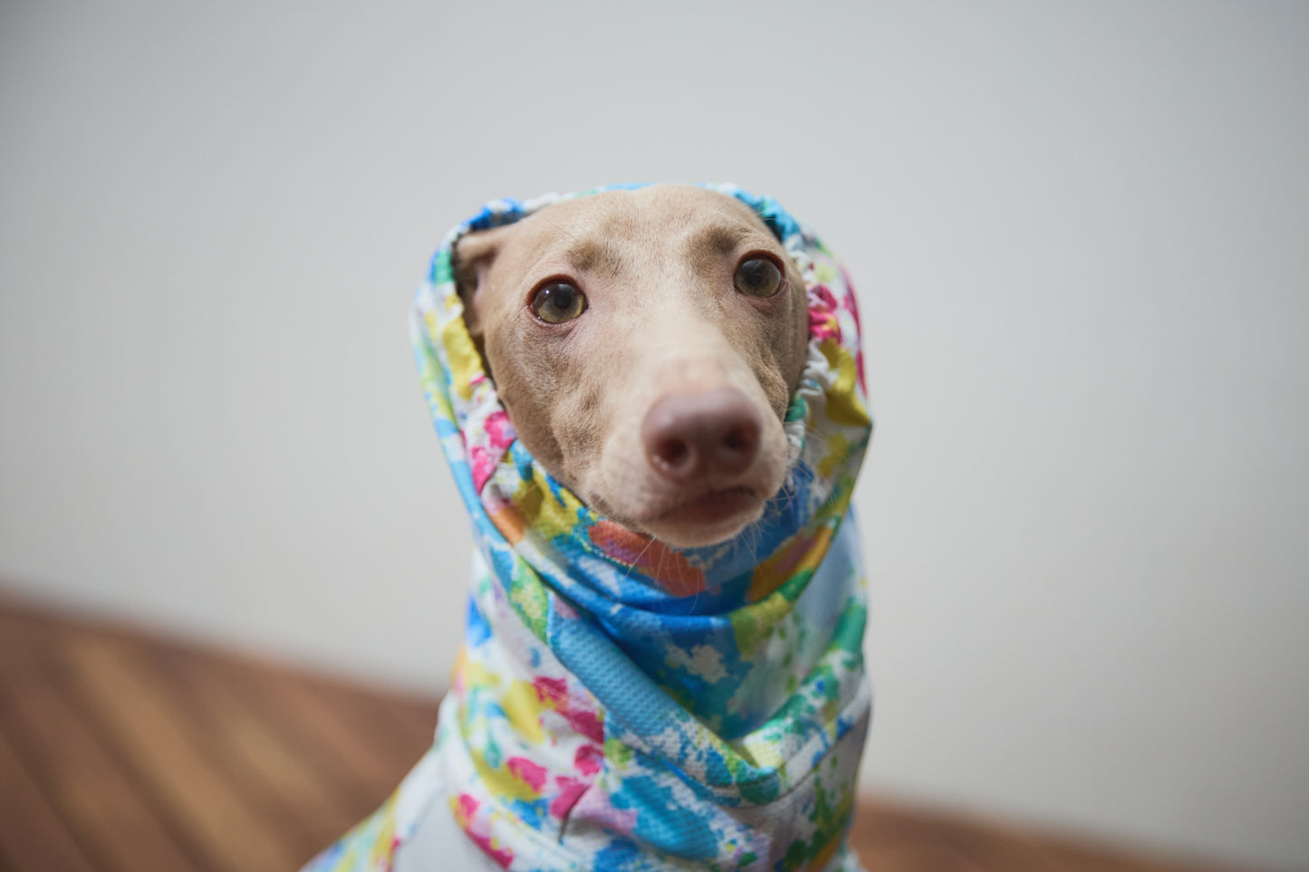 Summer Coooing Snood - White