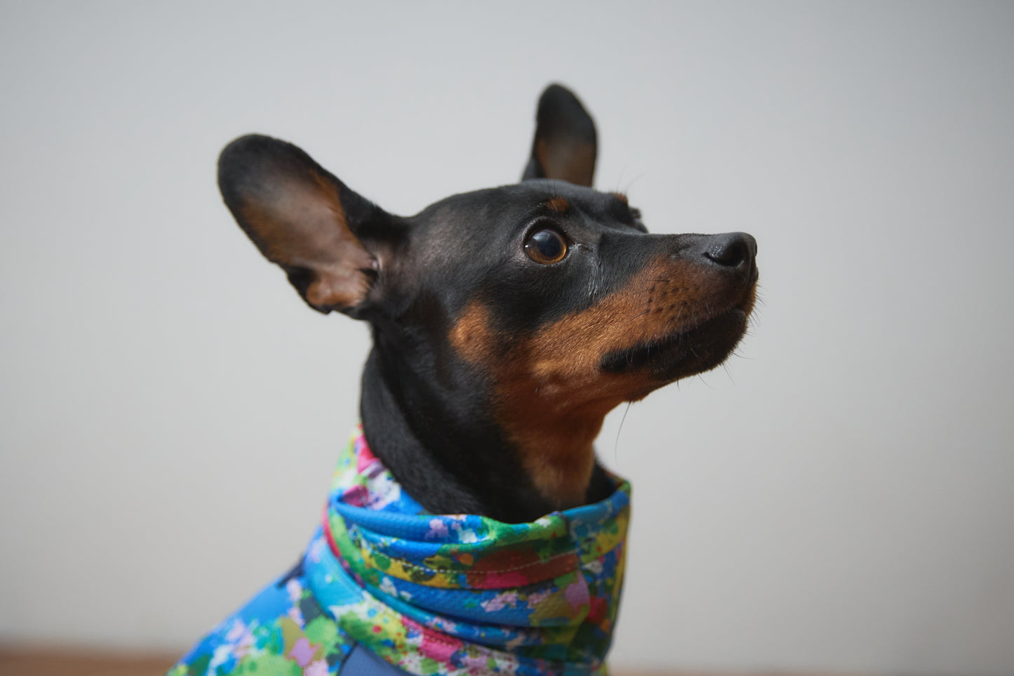 Summer Coooing Snood - Blue