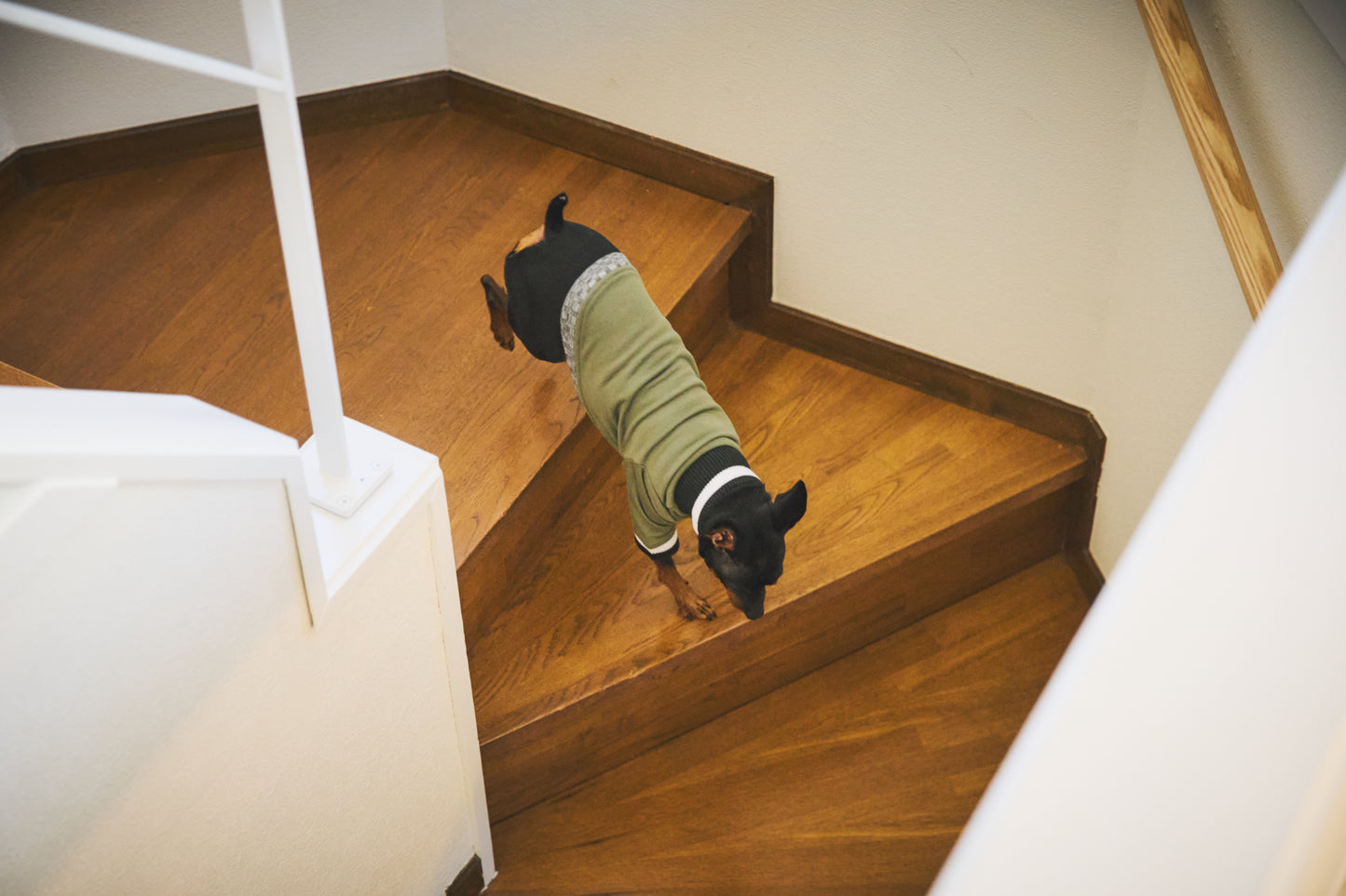 Ribbed Border Sweater -Olive