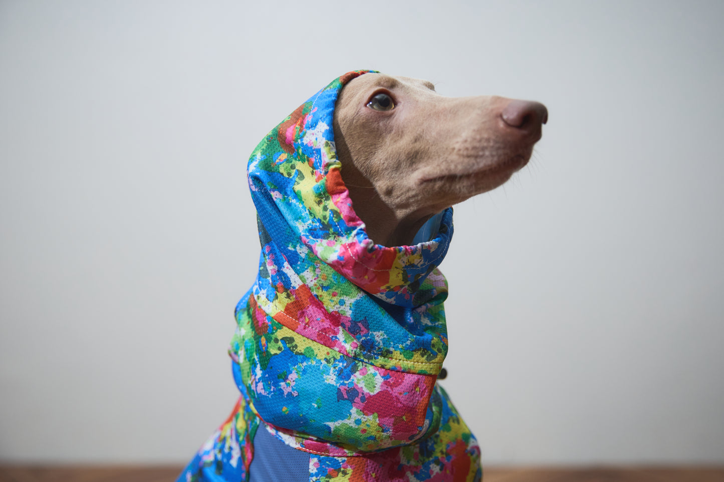 Summer Coooing Snood - Blue