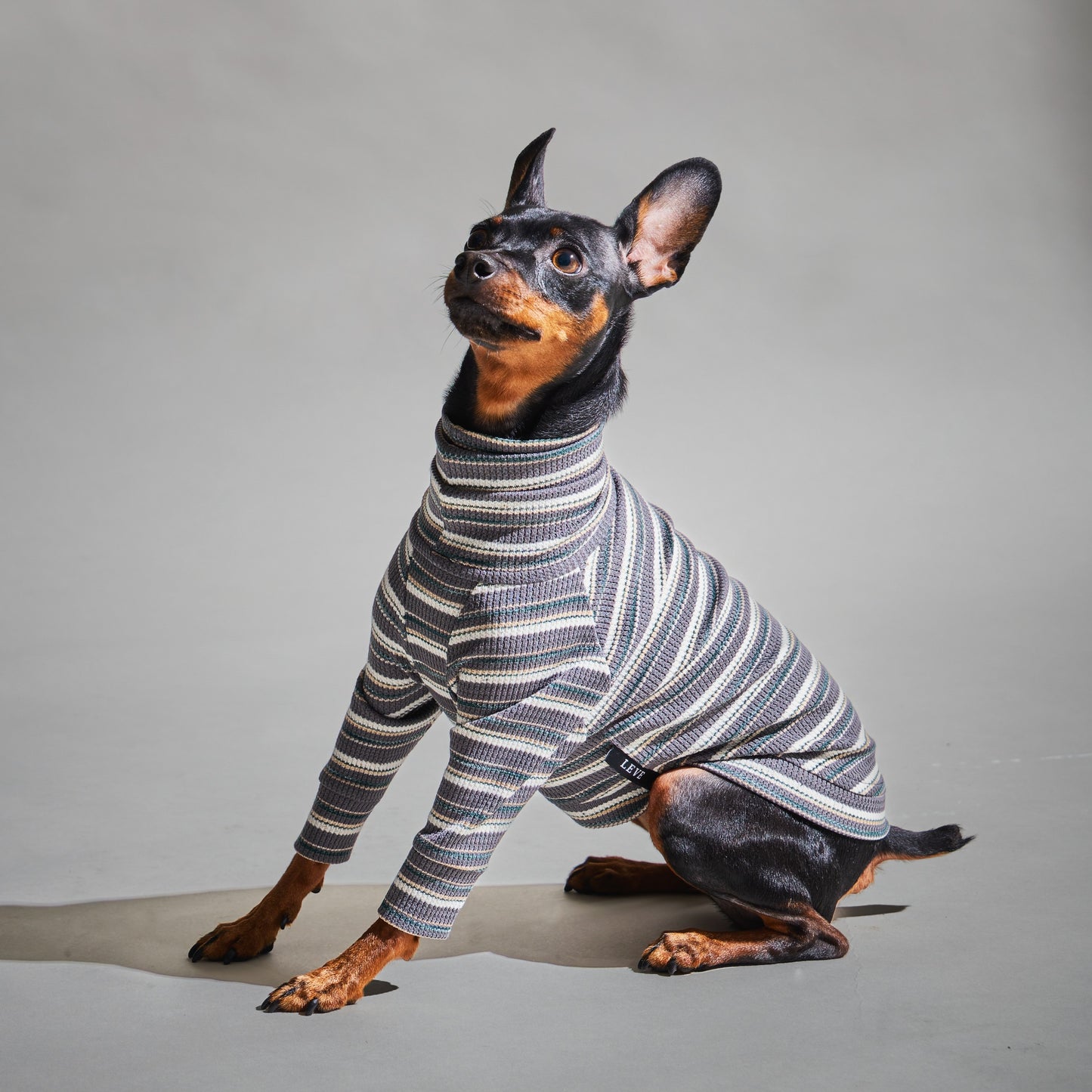 Multi Border Turtleneck Shirts -Charcoal Gray