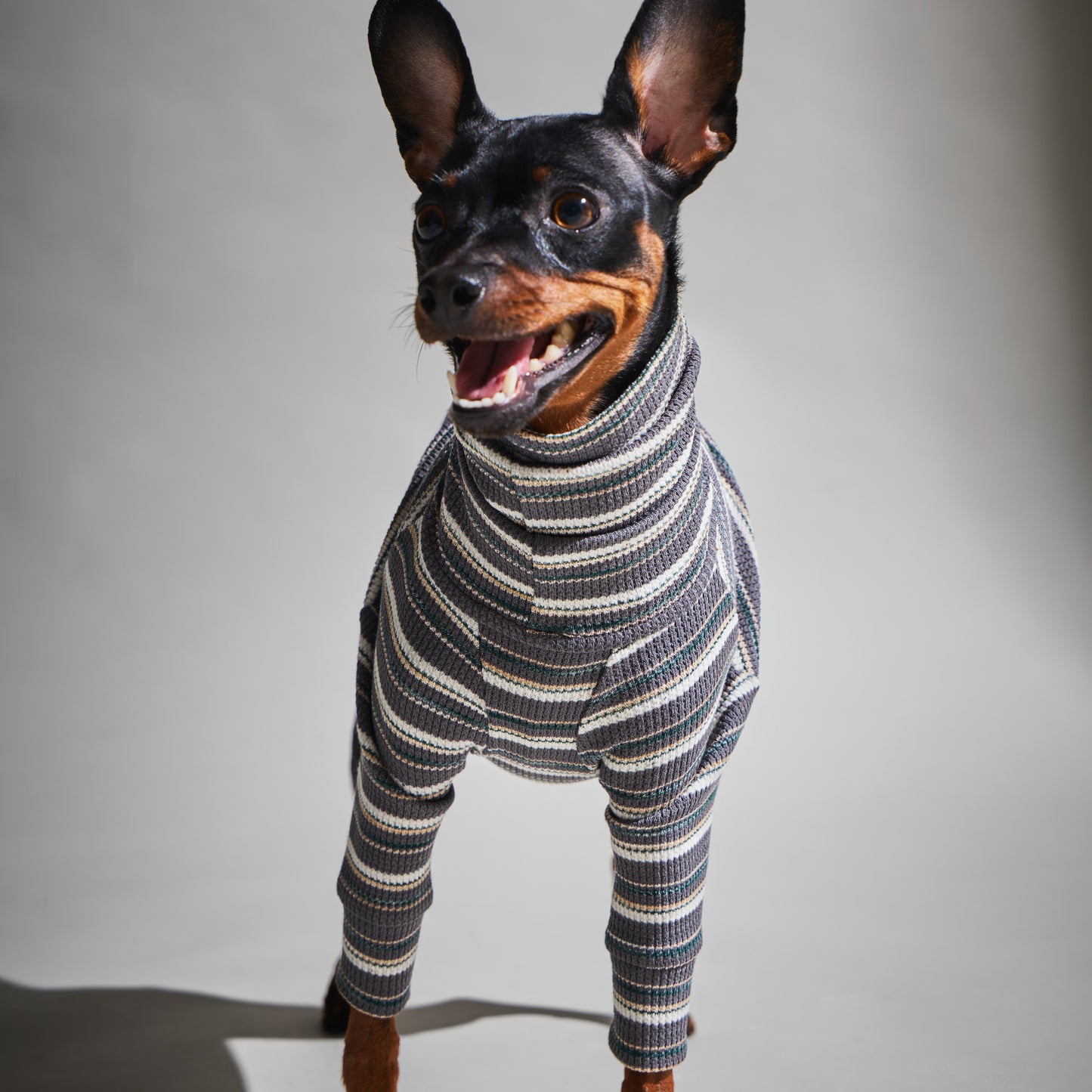 Multi Border Turtleneck Shirts -Charcoal Gray