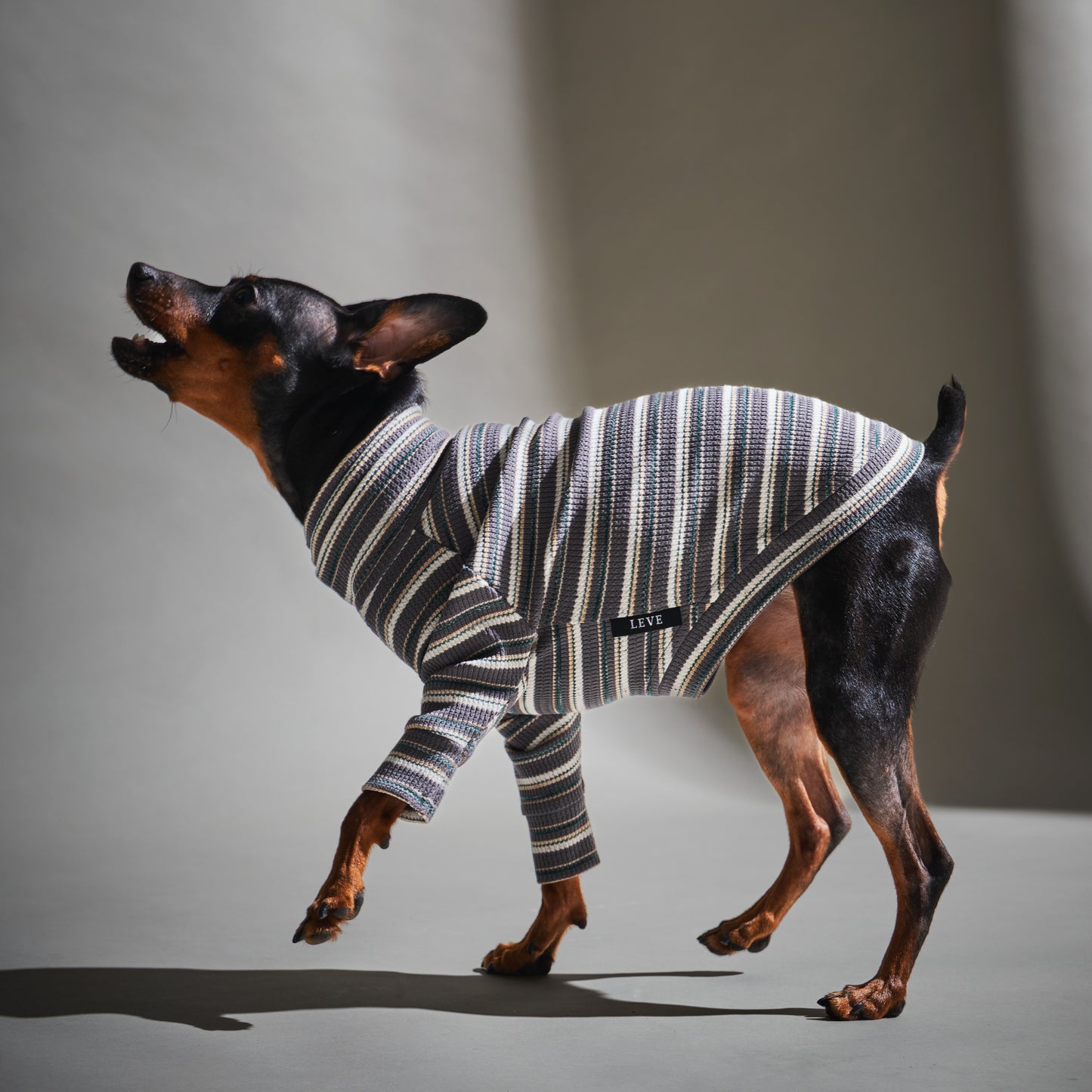 Multi Border Turtleneck Shirts -Charcoal Gray