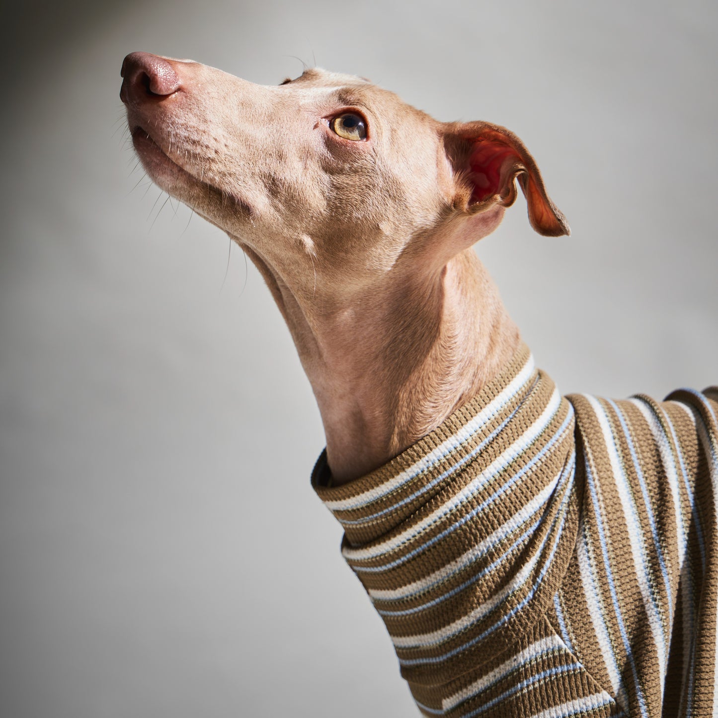 Multi Border Turtleneck Shirts -Sand brown
