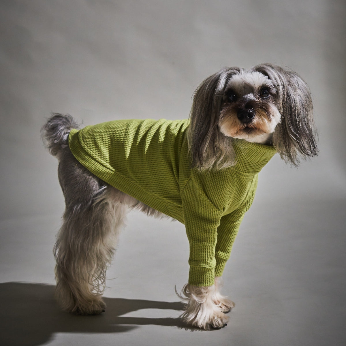 Waffle Turtleneck Shirts - II -Pistachio