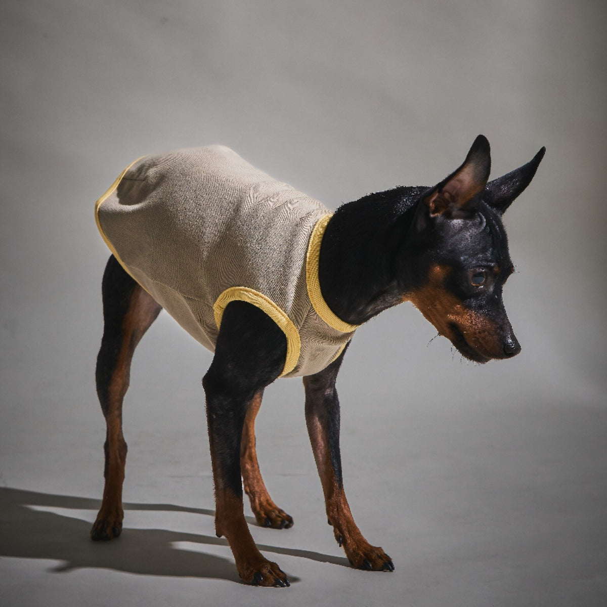 Rib Bi-color Vest -Beige