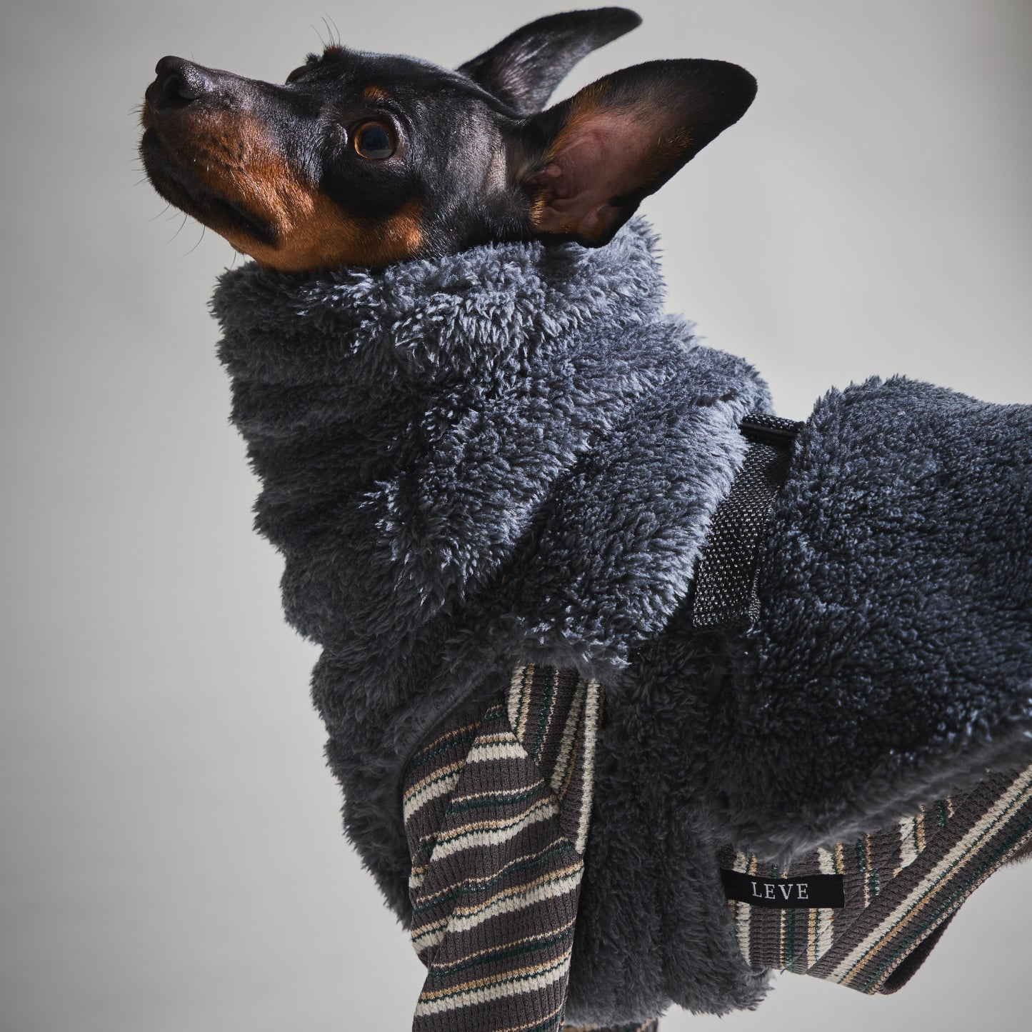 Multi Border Turtleneck Shirts -Charcoal Gray