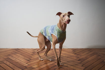 Tie Dye High-neck Vest - Green