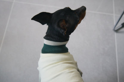 Ribbed Border Sweater -Ivory