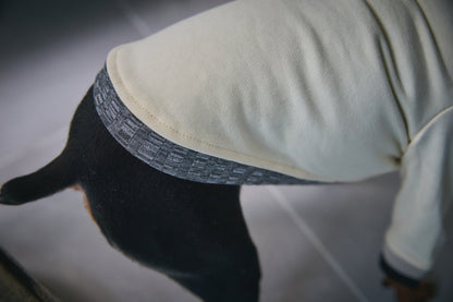 Ribbed Border Sweater -Ivory