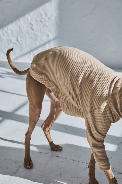 Waffle Turtleneck Shirts - Beige