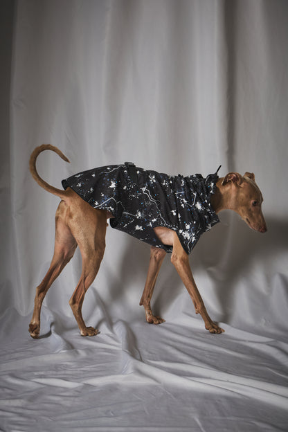 Urban Splash Rain Coat