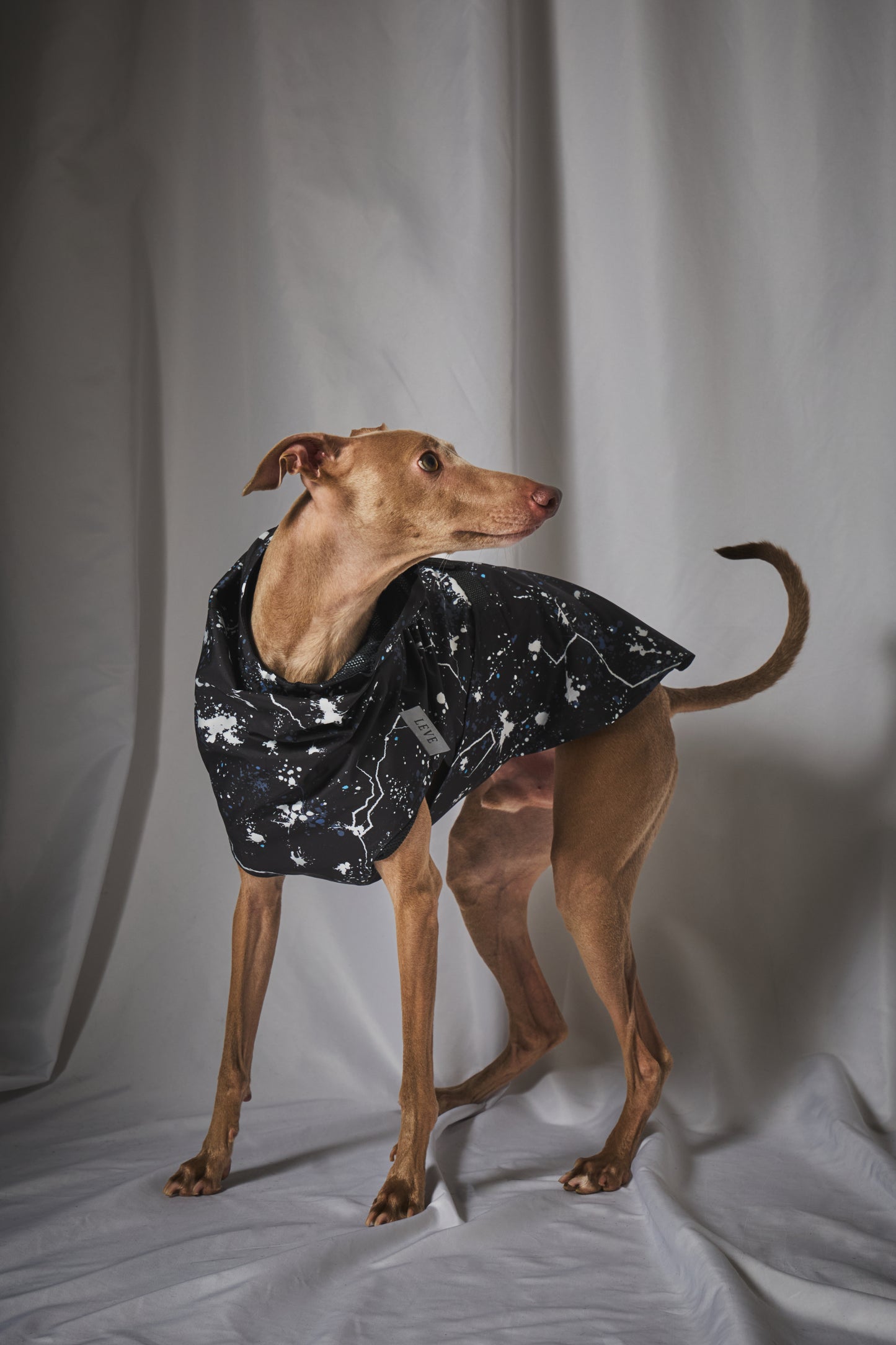 Urban Splash Rain Coat