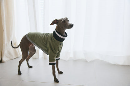 Ribbed Border Sweater -Olive