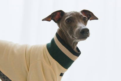 Ribbed Border Sweater -Ivory