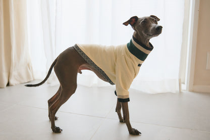 Ribbed Border Sweater -Ivory