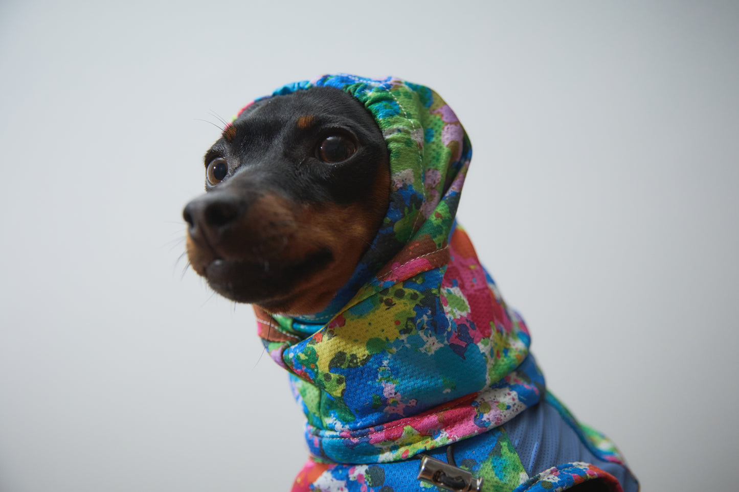Summer Coooing Snood - Blue