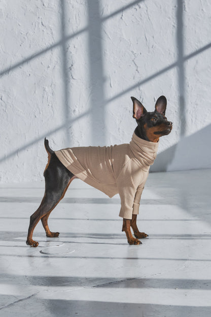 Waffle Turtleneck Shirts - Beige