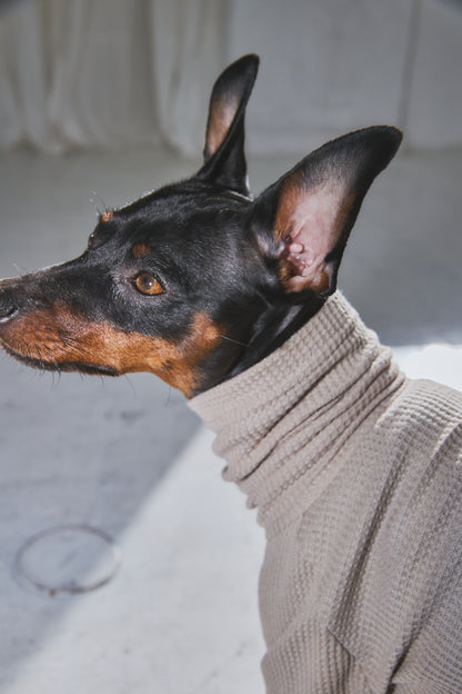 Waffle Turtleneck Shirts - Beige