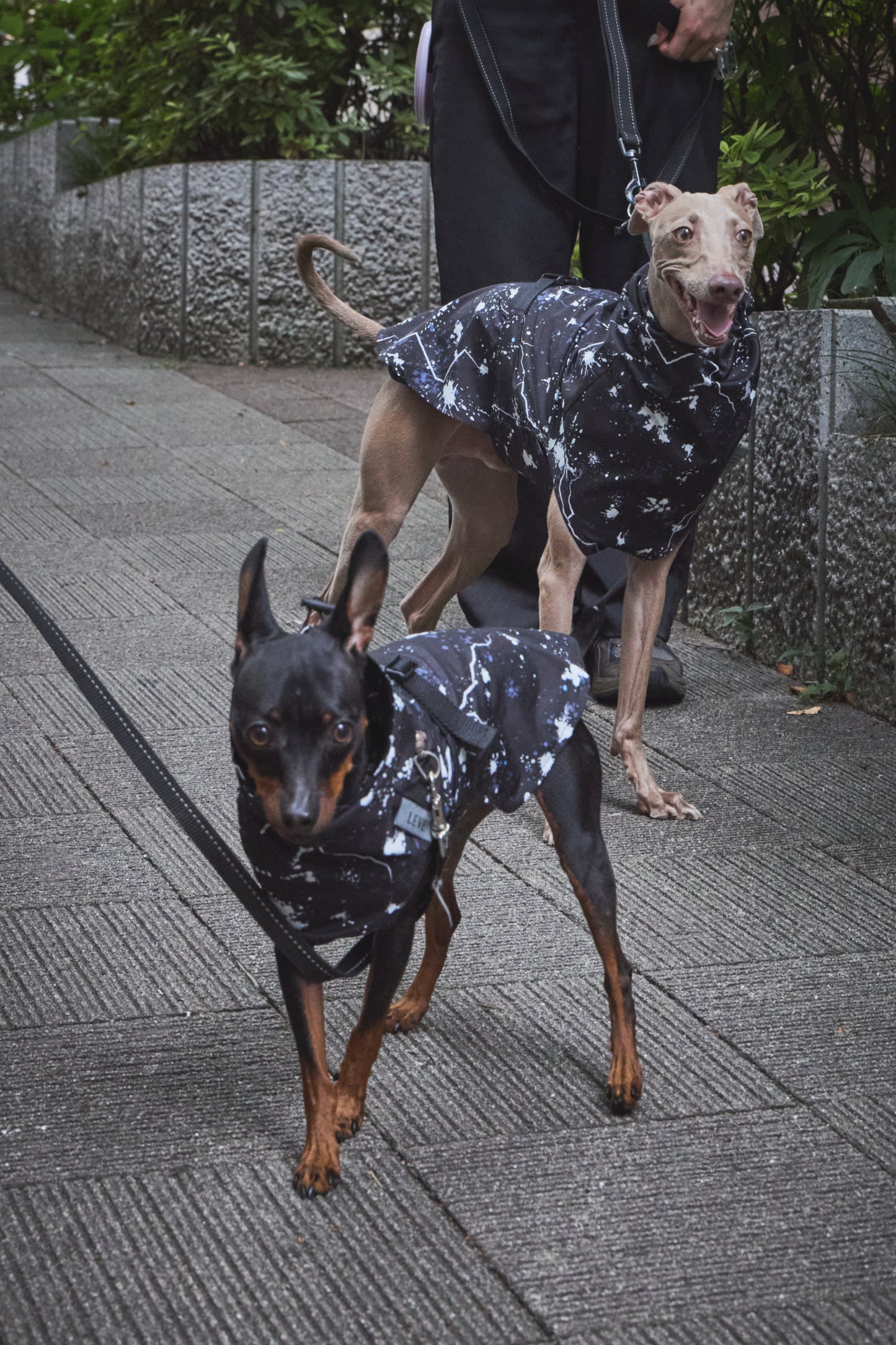 Urban Splash Rain Coat