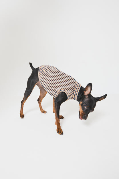 Multi Border High-neck Vest - Mustard