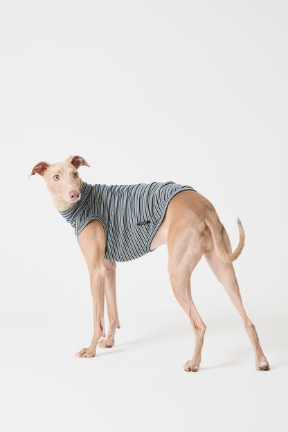 Multi Border High-neck Vest - Green