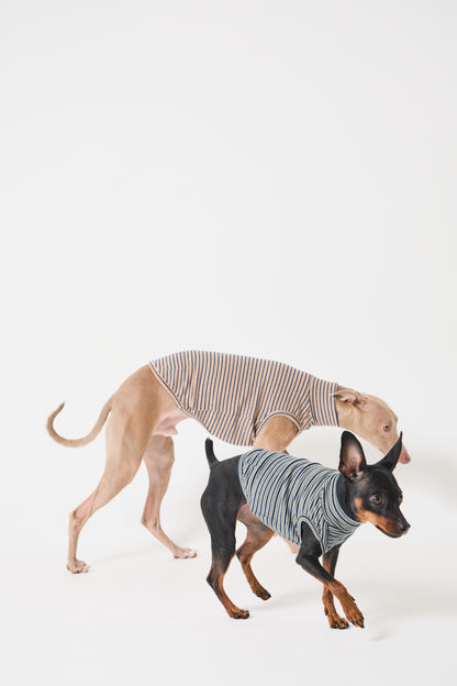 Multi Border High-neck Vest - Mustard