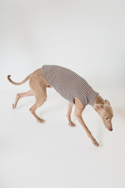 Multi Border High-neck Vest - Mustard