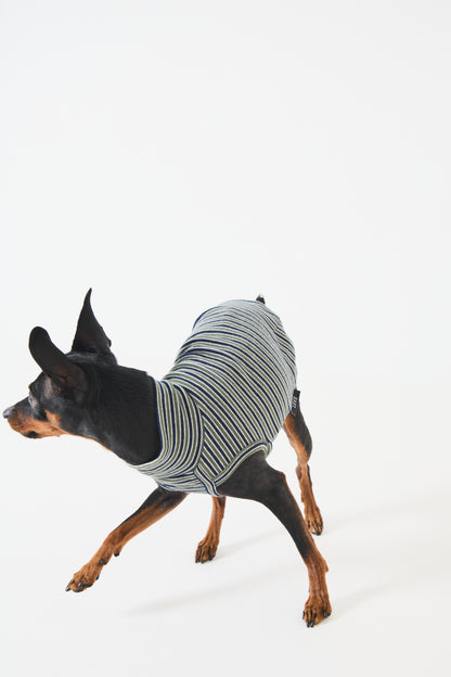 Multi Border High-neck Vest - Green