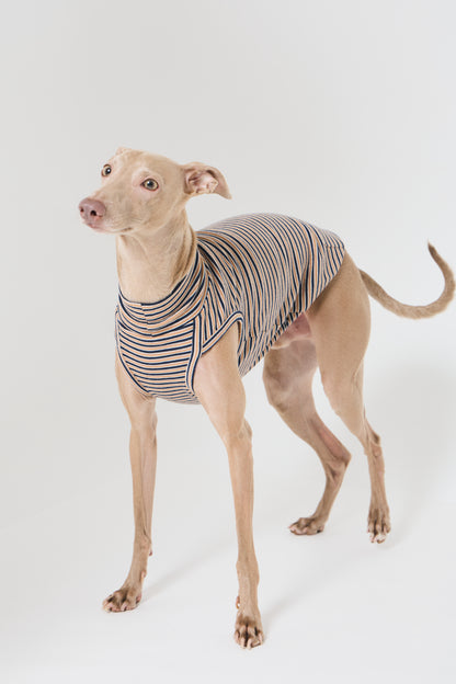 Multi Border High-neck Vest - Mustard