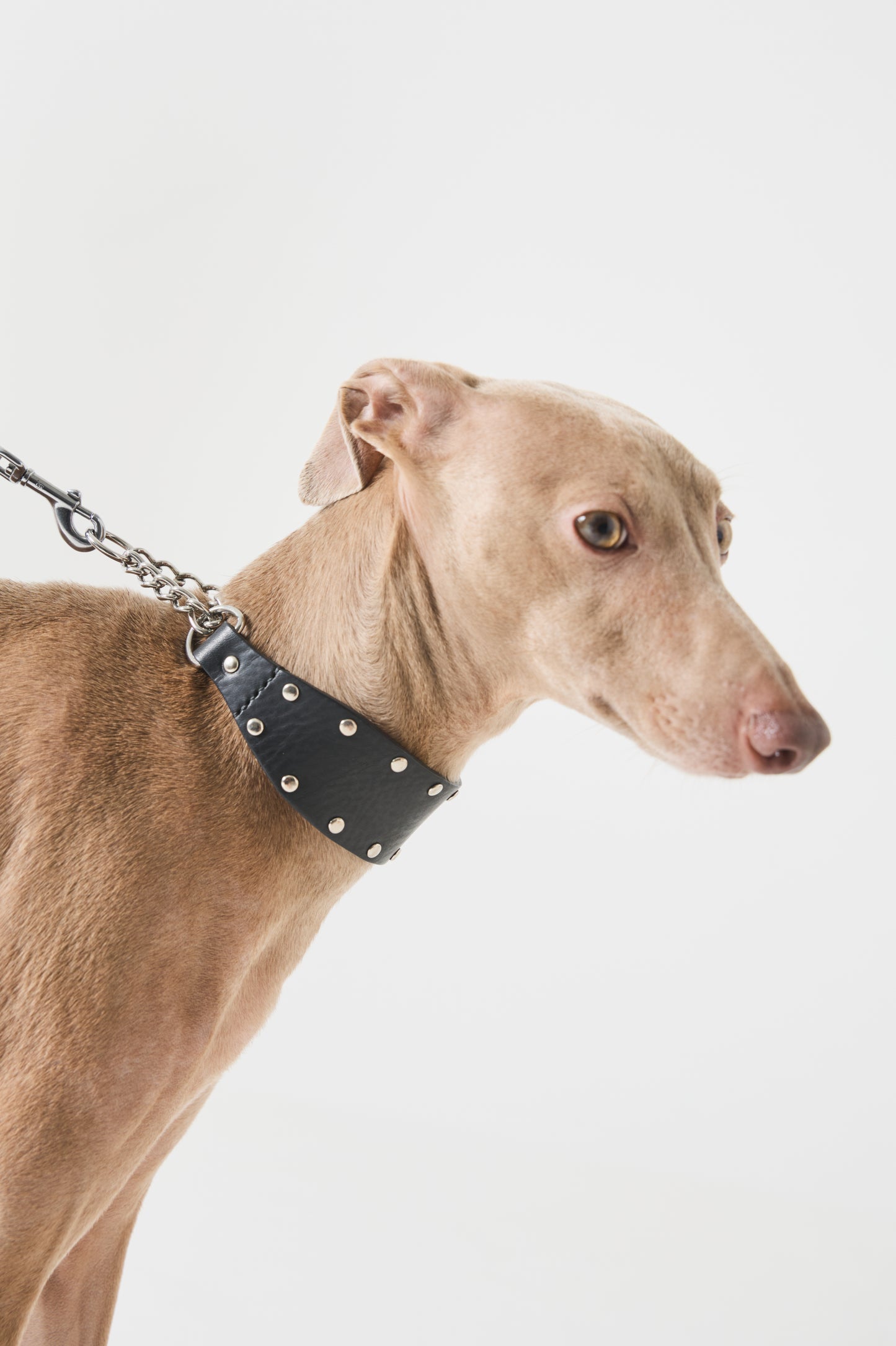 Leather Stud Half Choke -Black