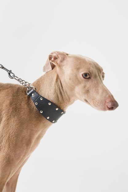 Leather Stud Half Choke -Black