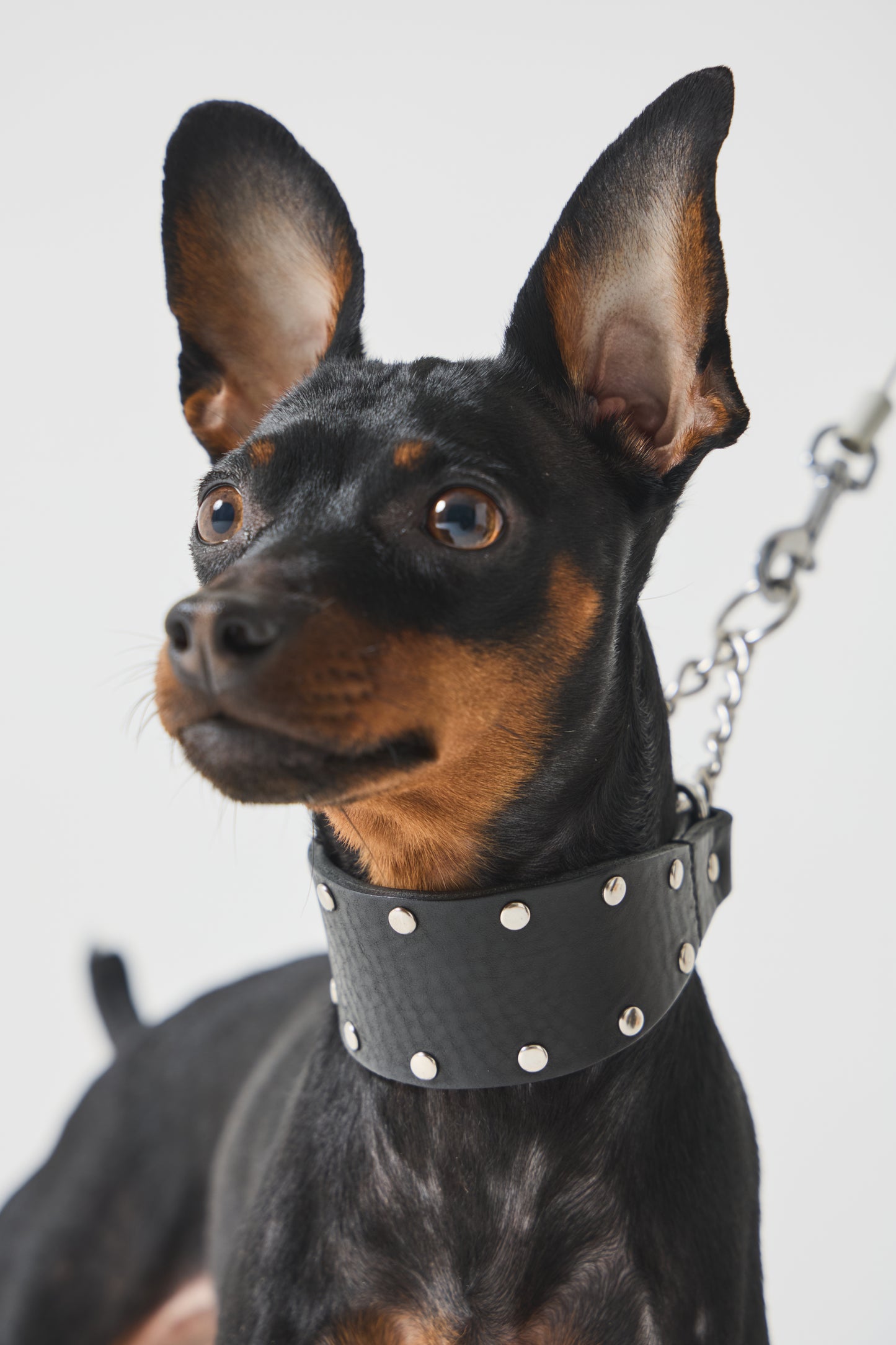 Leather Stud Half Choke -Black