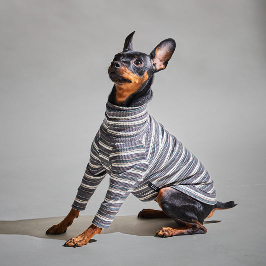 Multi Border Turtleneck Shirts -Charcoal Gray