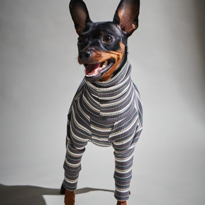 Multi Border Turtleneck Shirts -Charcoal Gray