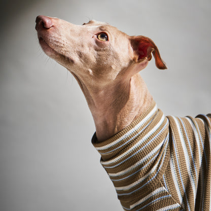Multi Border Turtleneck Shirts -Sand brown