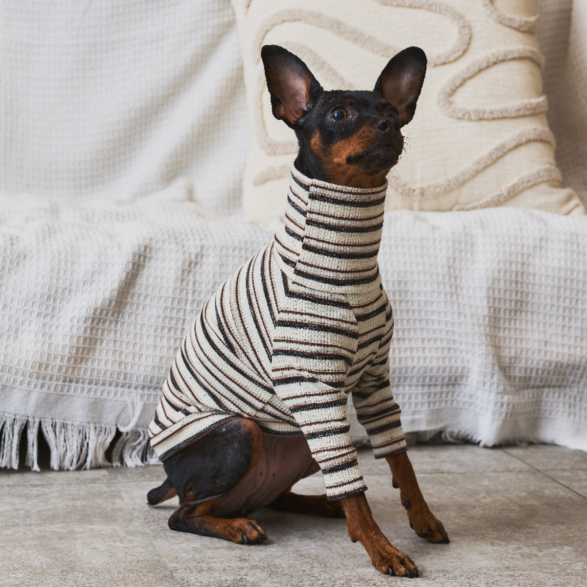 Multi Border Turtleneck Shirts -Oatmeal